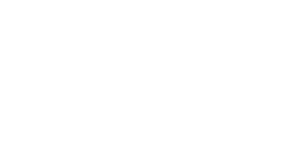 surete investigations services
